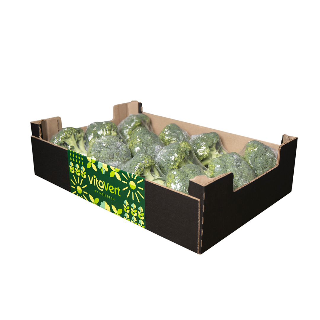 brocoli-01-2