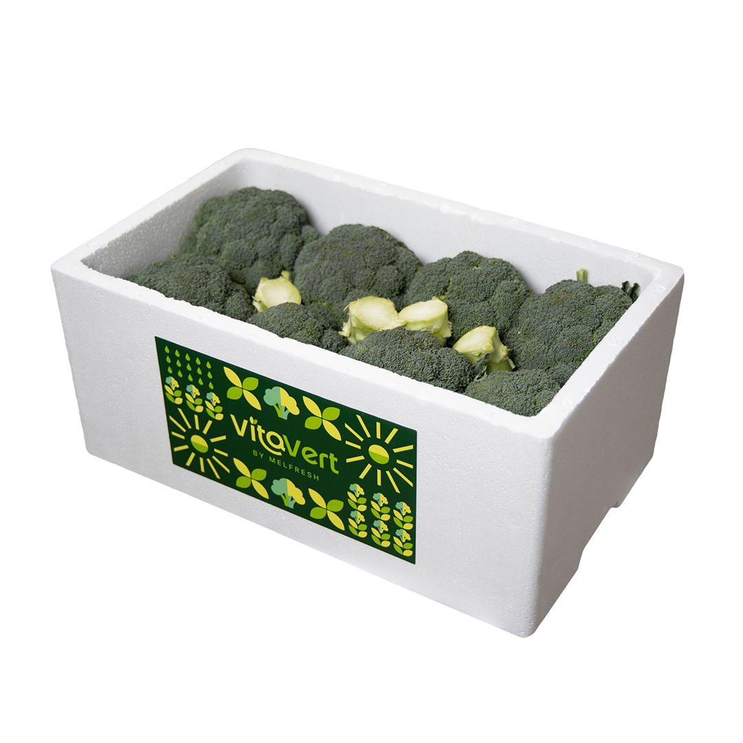 brocoli-04-2