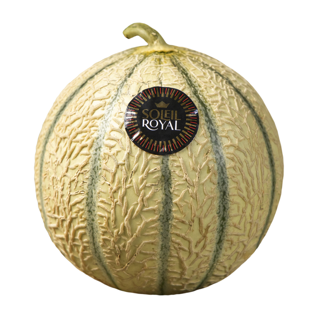 melon-01-2