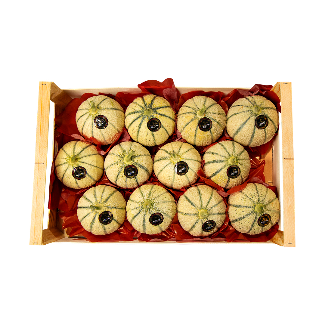 melon-03-2